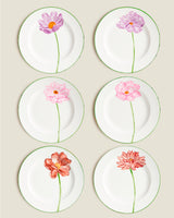 Tallo Set 6 plates