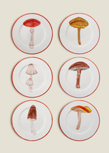 Mushrooms Set 6 plates